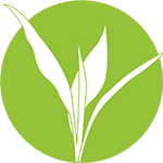 bodymind wellness center button logo